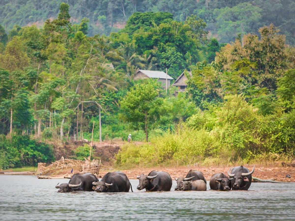 Muang La Lodge Exteriér fotografie