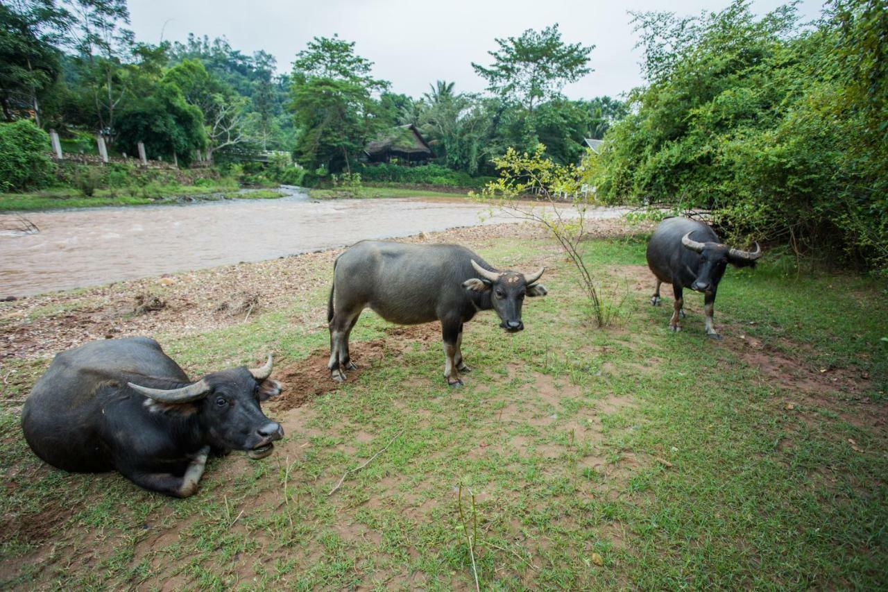 Muang La Lodge Exteriér fotografie